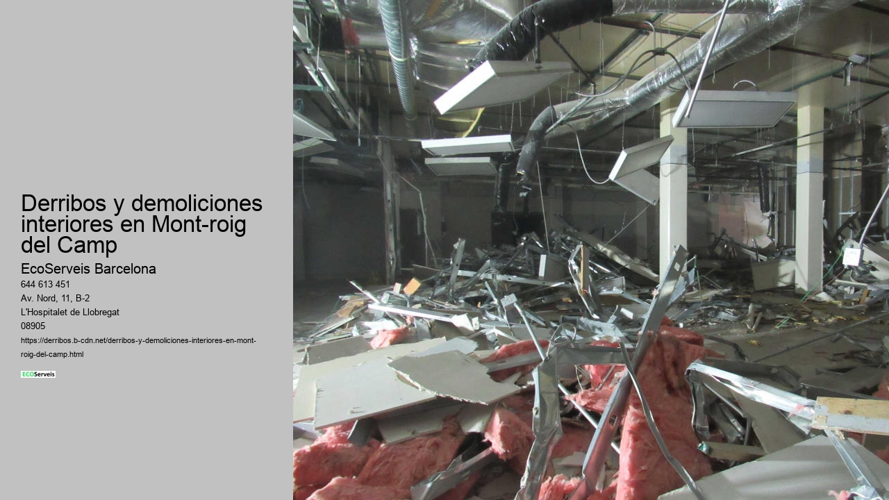 Derribos y demoliciones interiores en Mont-roig del Camp
