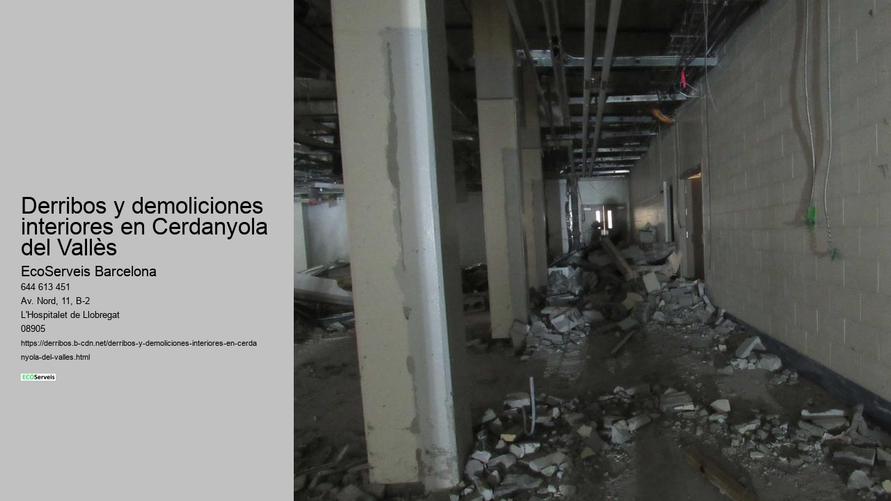 Derribos y demoliciones interiores en Cerdanyola del Vallès