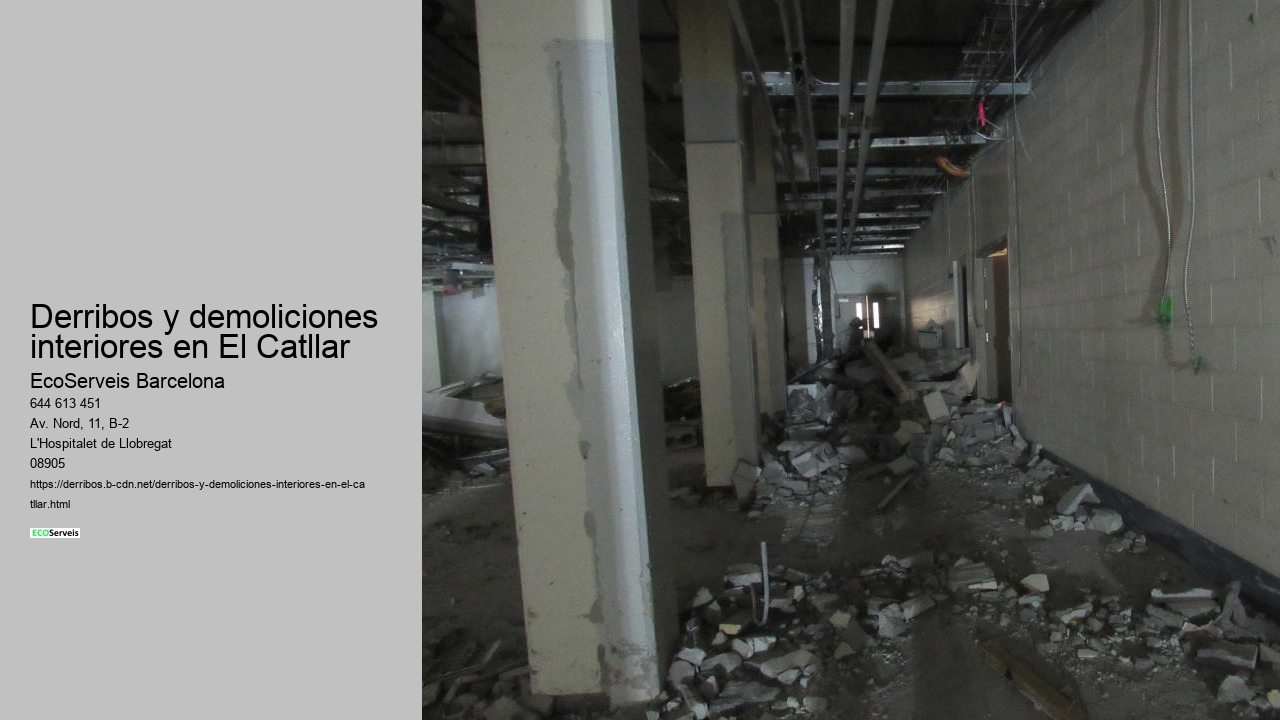 Derribos y demoliciones interiores en El Catllar