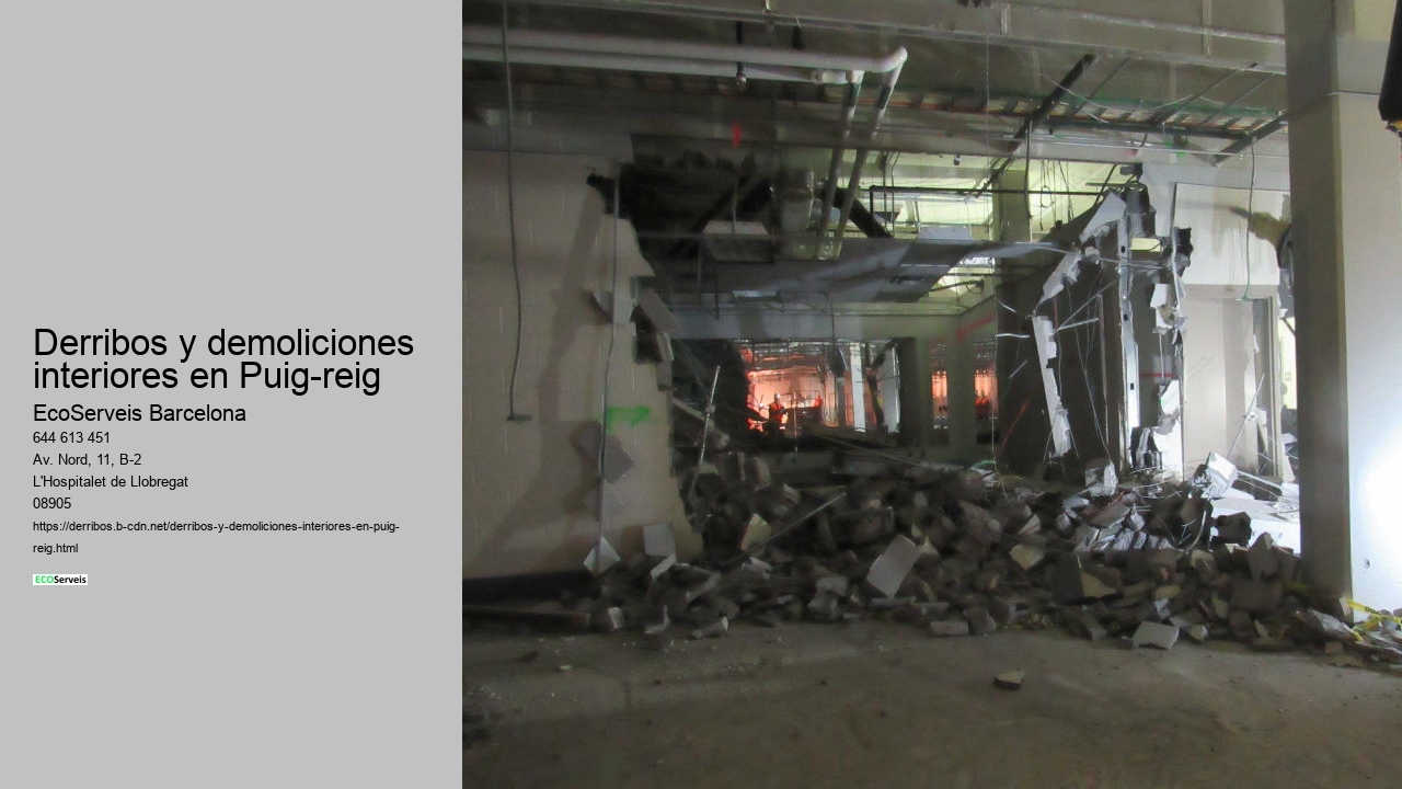 Derribos y demoliciones interiores en Puig-reig