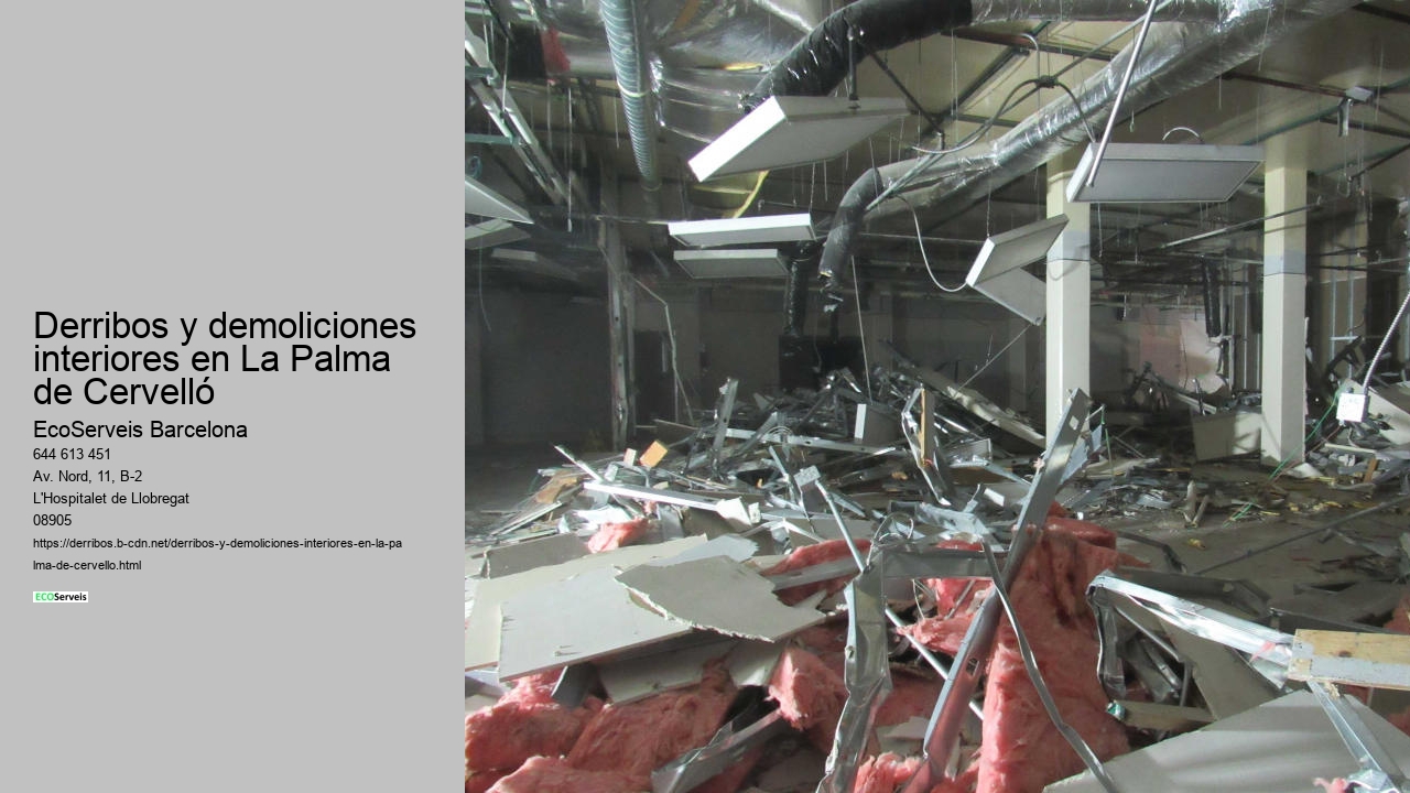 Derribos y demoliciones interiores en La Palma de Cervelló