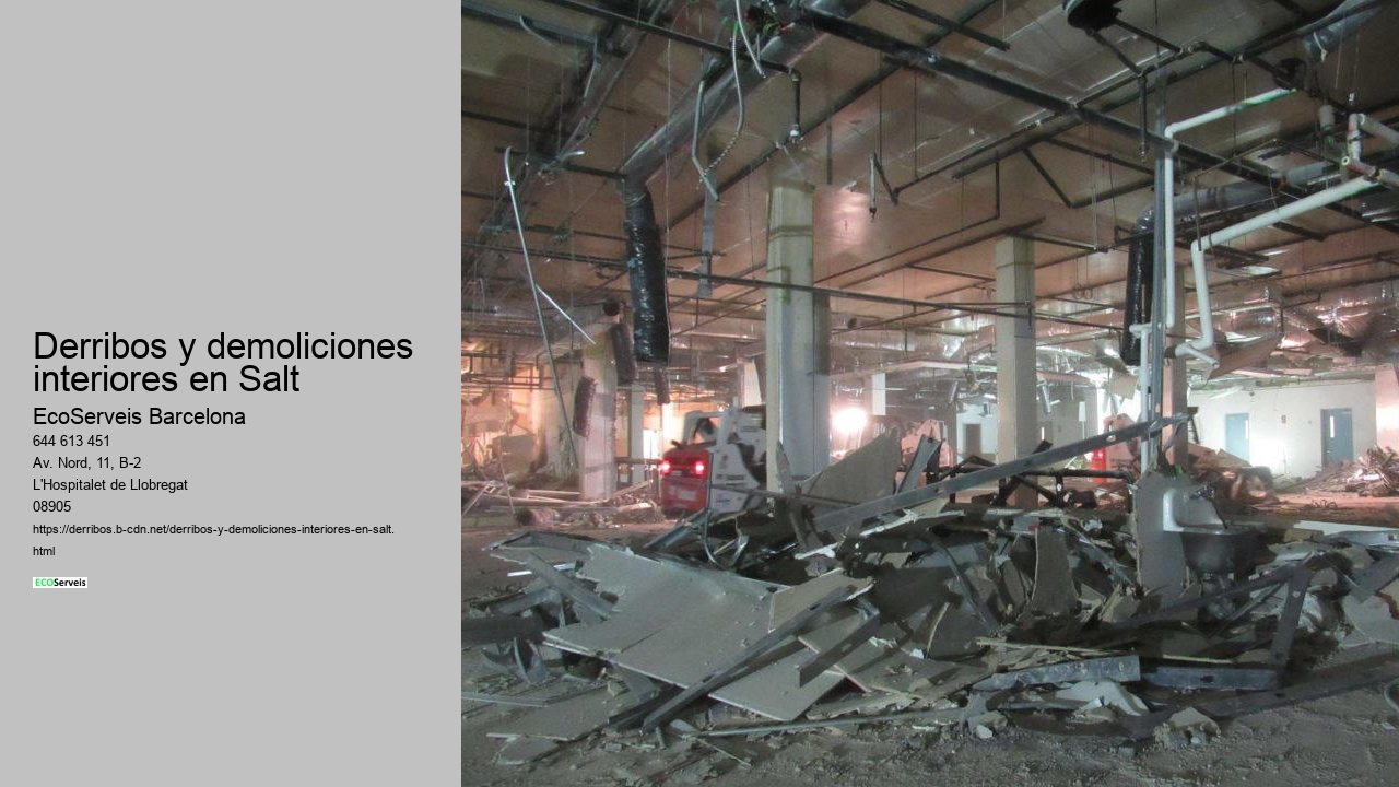 Derribos y demoliciones interiores en Salt