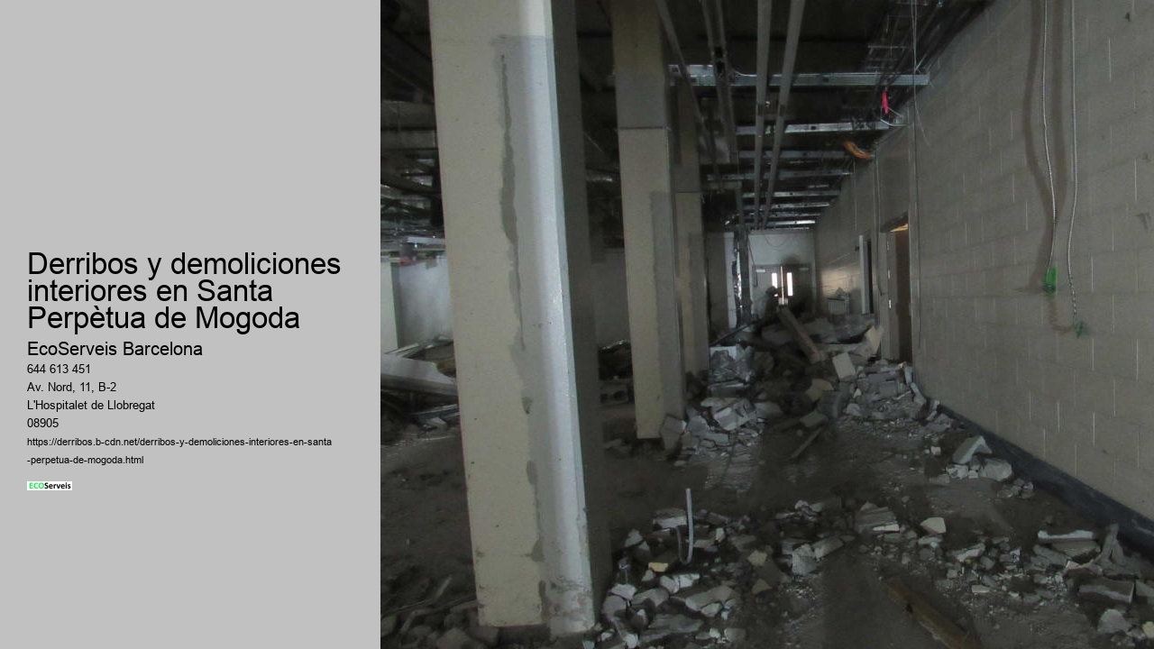 Derribos y demoliciones interiores en Santa Perpètua de Mogoda