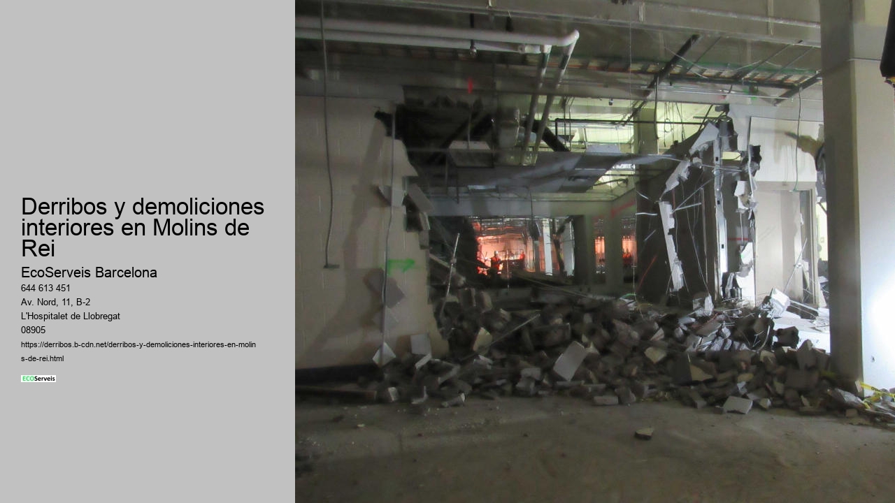 Derribos y demoliciones interiores en Molins de Rei
