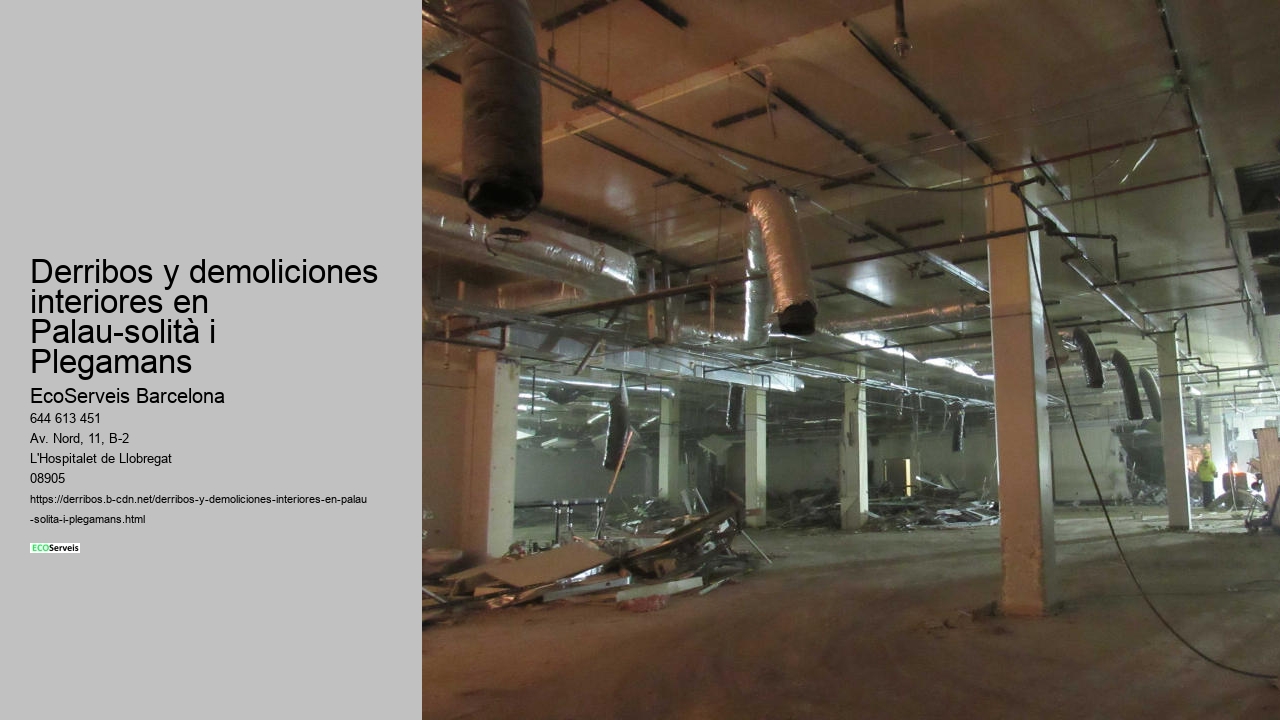 Derribos y demoliciones interiores en Palau-solità i Plegamans